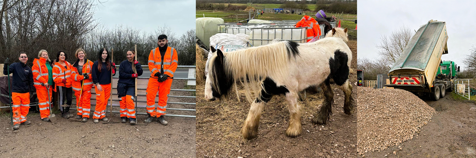 Horse and pony sanctuary donation