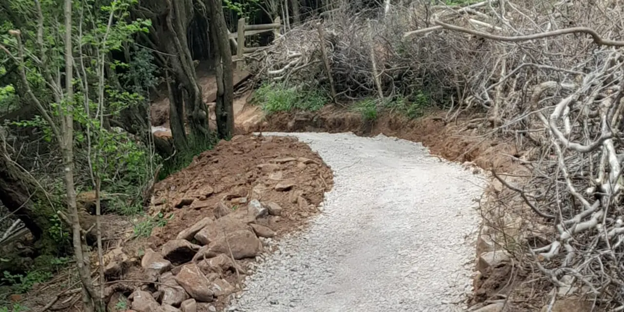 Batts Combe quarry donation improves visitor access at iconic Cheddar Gorge