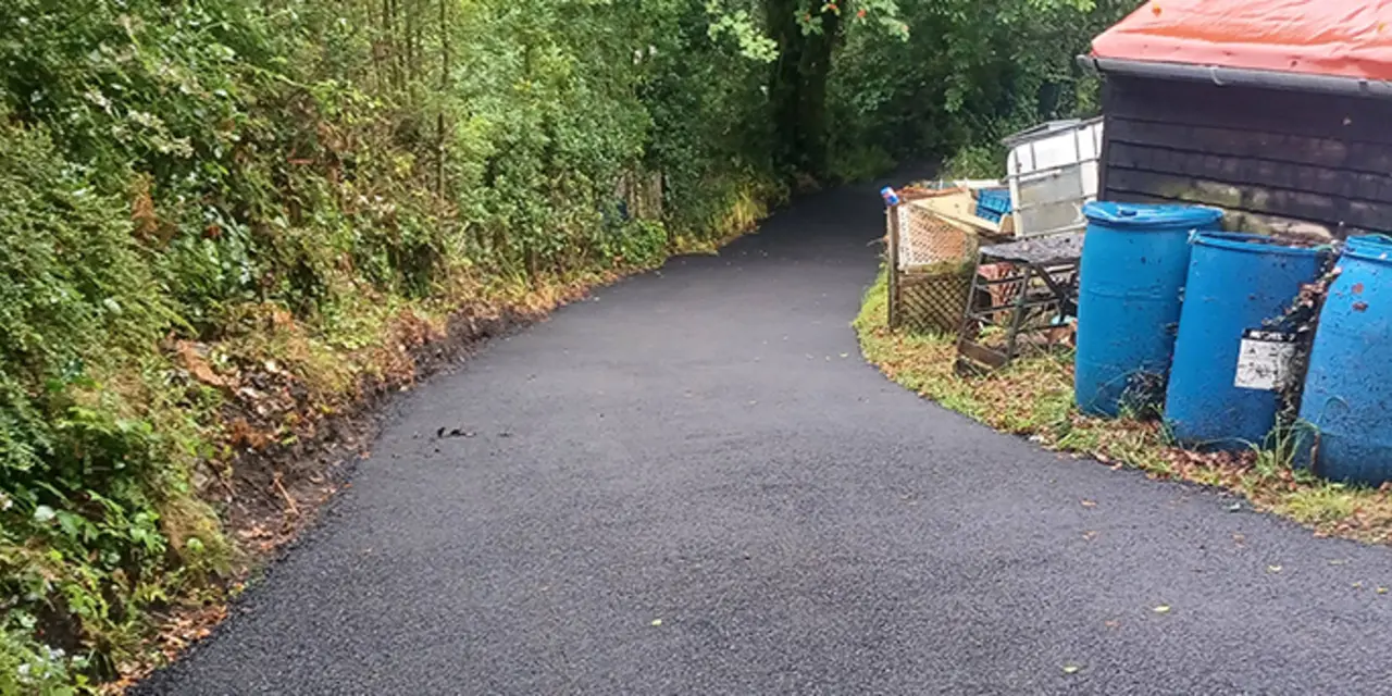 Maes-y-Coed allotments